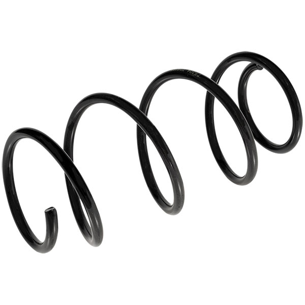 Sachs Coil Spring 627593330