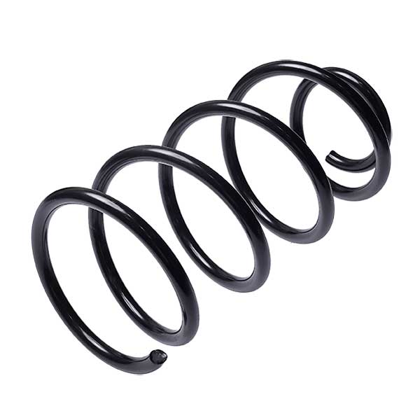 Sachs Coil Spring 627593400