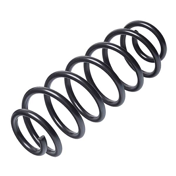 Sachs Coil Spring 627593760