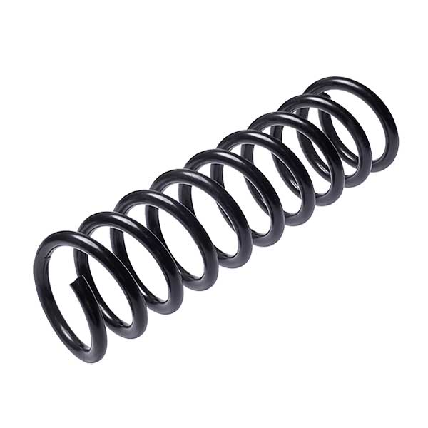 Sachs Coil Spring 627593800