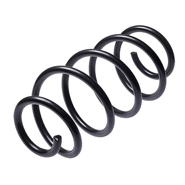 Sachs Coil Spring 627594160