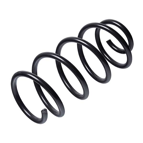 Sachs Coil Spring 627594230