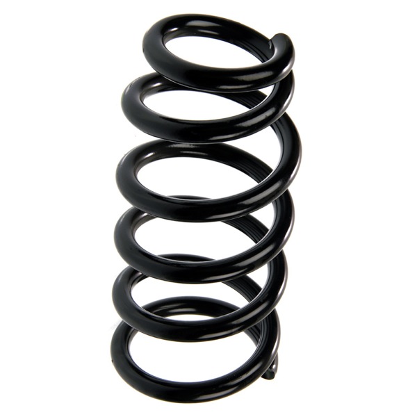 Sachs Coil Spring 627601050