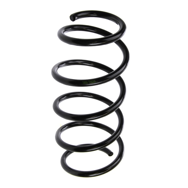 Sachs Coil Spring 627601210