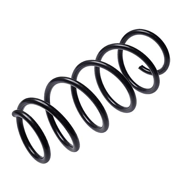 Sachs Coil Spring 627601710
