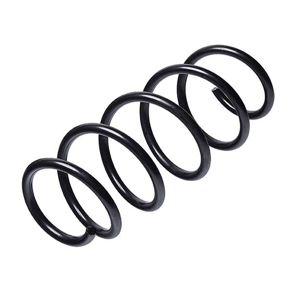 Sachs Coil Spring 627650090