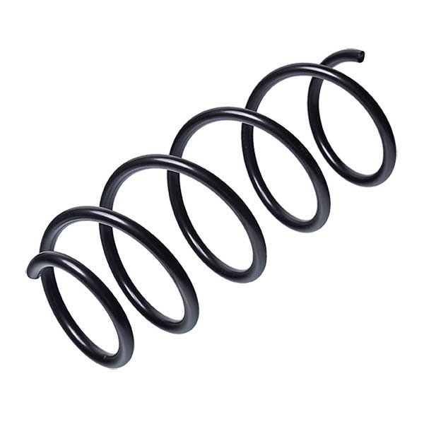 Sachs Coil Spring 627650190