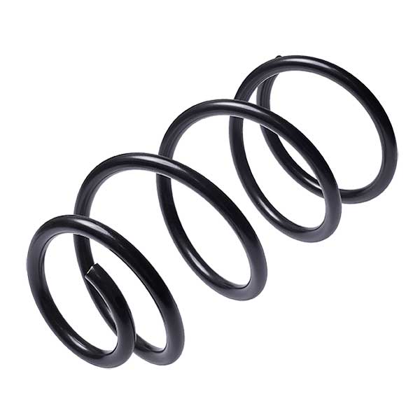 Sachs Coil Spring 627661980