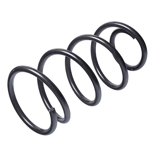 Sachs Coil Spring 627662000