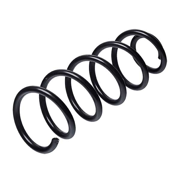 Sachs Coil Spring 627681580