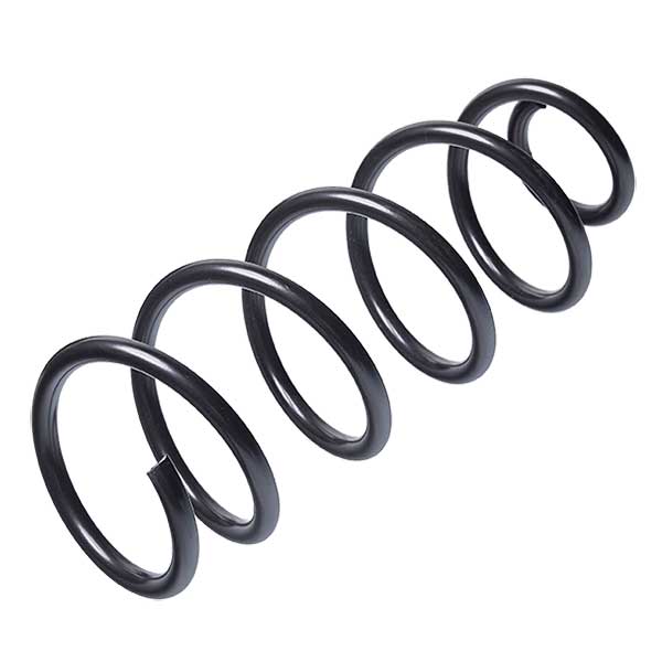 Sachs Coil Spring 627681630