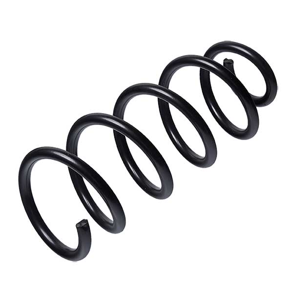 Sachs Coil Spring 627681730