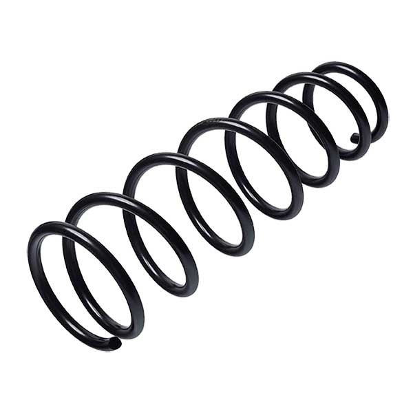 Sachs Coil Spring 627681750