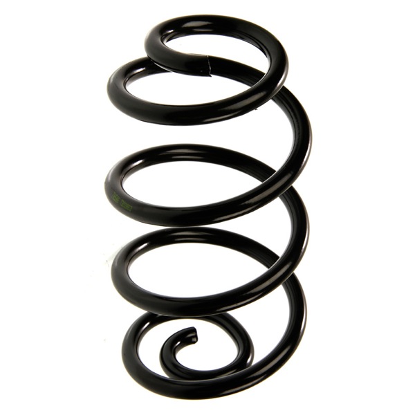Sachs Coil Spring 627701940