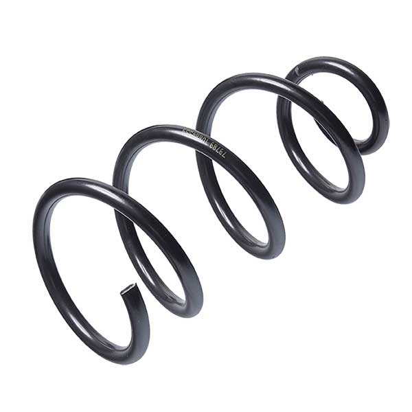 Sachs Coil Spring 627706000