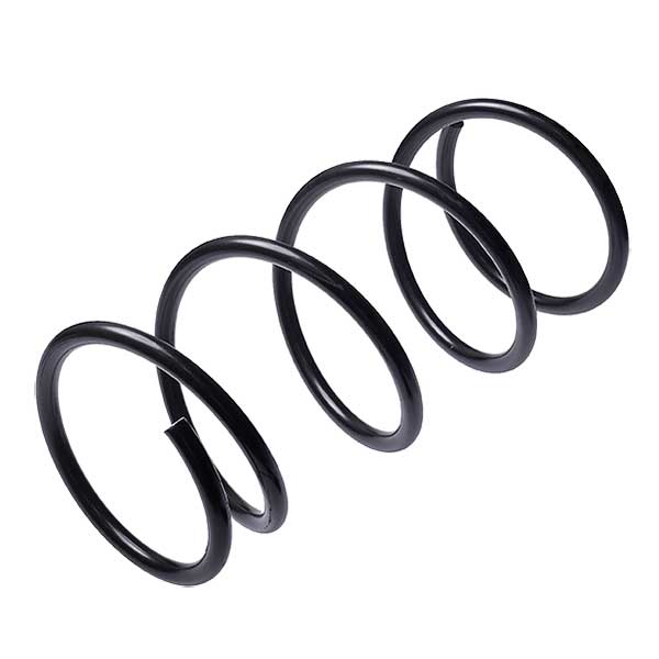 Sachs Coil Spring 627706070