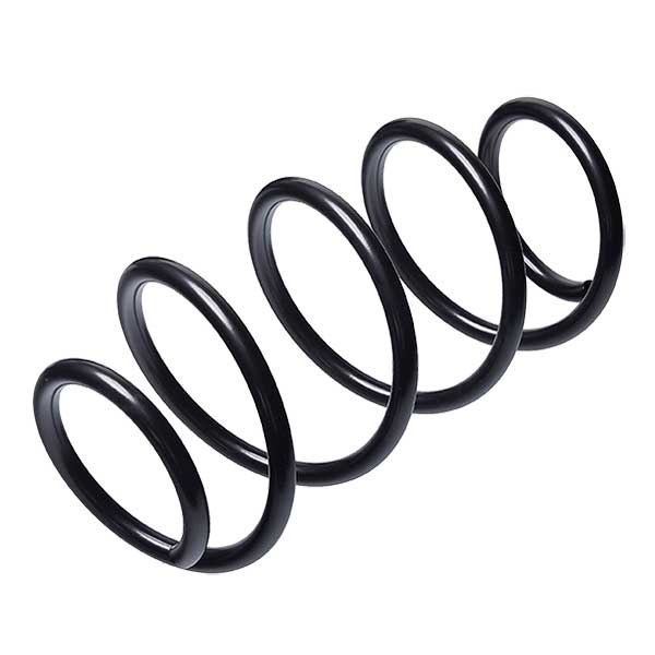 Sachs Coil Spring 627706280
