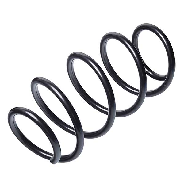 Sachs Coil Spring 627706320