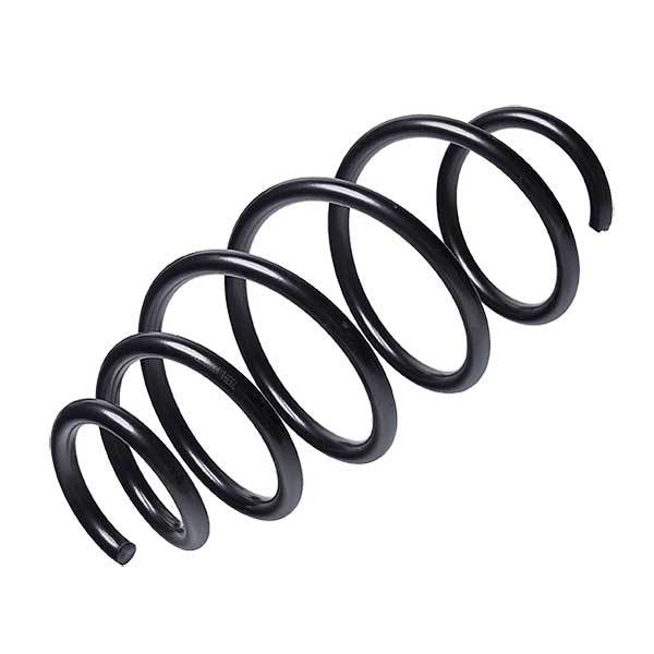 Sachs Coil Spring 627723330