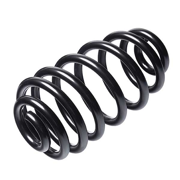 Sachs Coil Spring 627723750