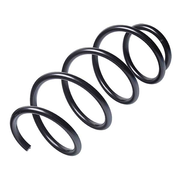 Sachs Coil Spring 627724170