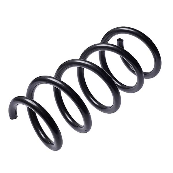 Sachs Coil Spring 627724230