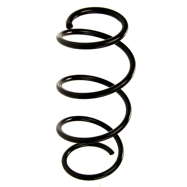Sachs Coil Spring 627740550