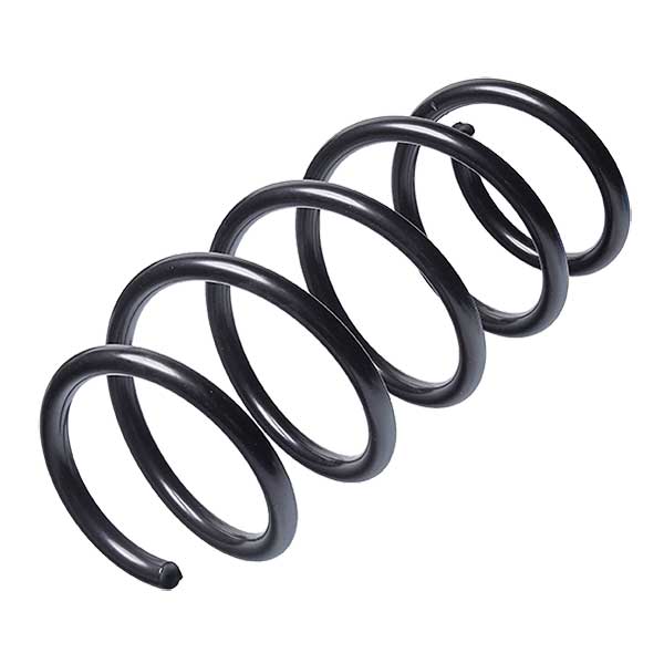Sachs Coil Spring 627746040