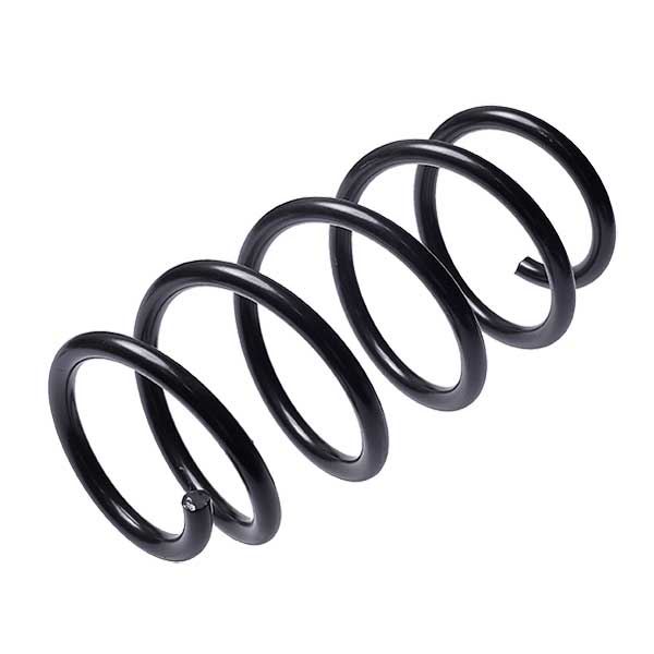 Sachs Coil Spring 627746050