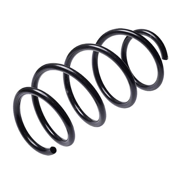 Sachs Coil Spring 627746140