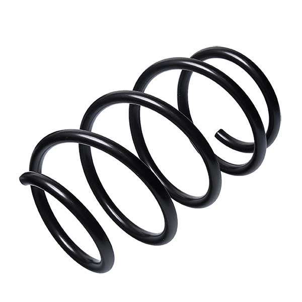 Sachs Coil Spring 627746210
