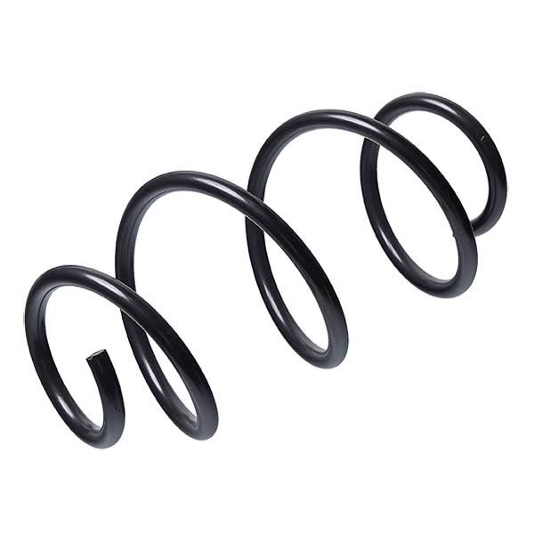 Sachs Coil Spring 627746560