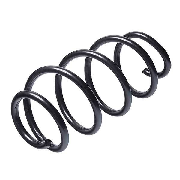 Sachs Coil Spring 627780620