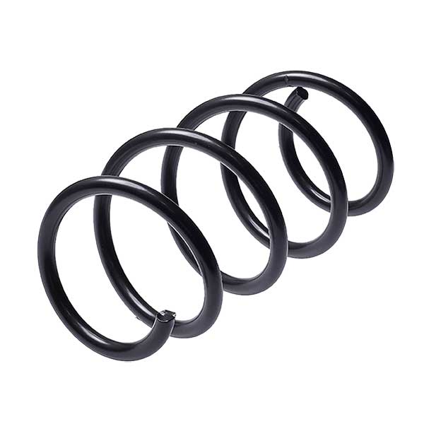 Sachs Coil Spring 627780810