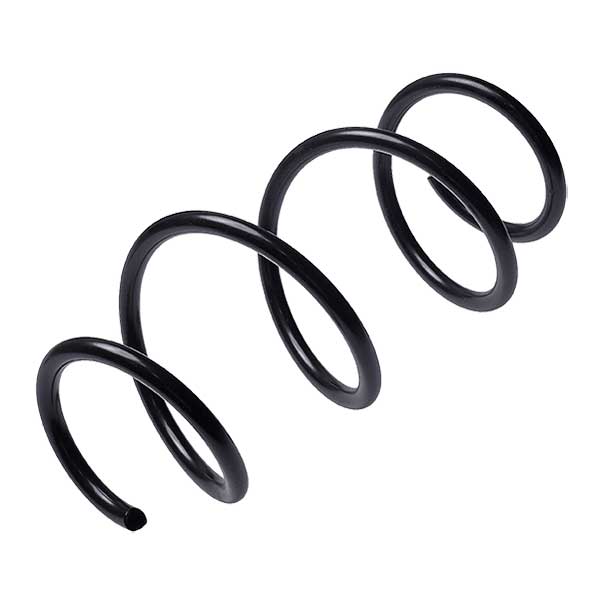 Sachs Coil Spring 627810660