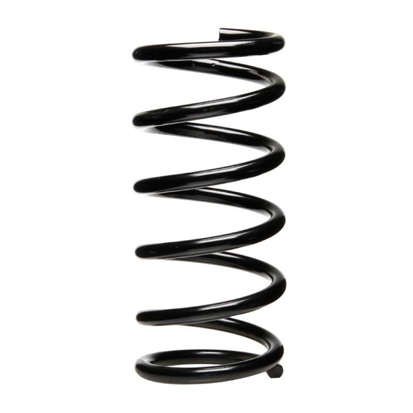 Sachs Coil Spring 627822250