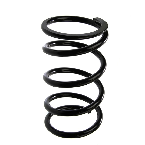 Sachs Coil Spring 627822350