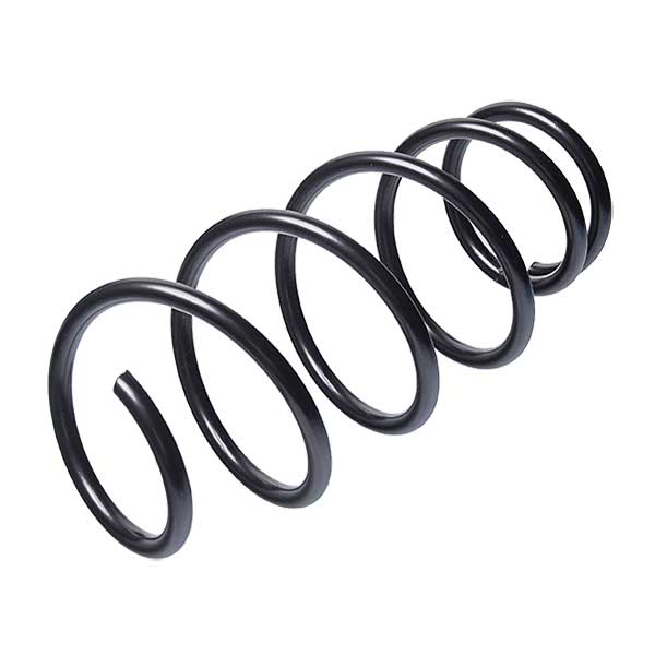 Sachs Coil Spring 627822970
