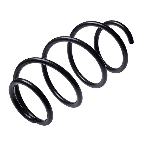 Sachs Coil Spring 627850950