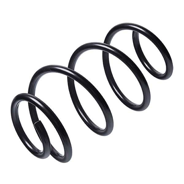 Sachs Coil Spring 627850970