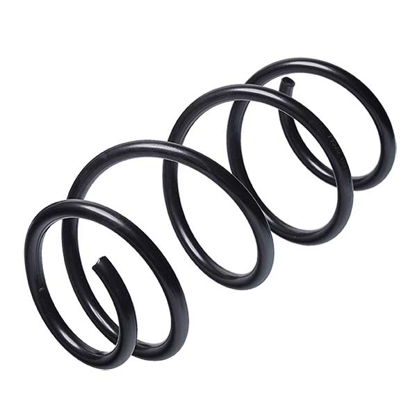 Sachs Coil Spring 627851070