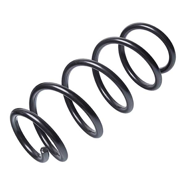 Sachs Coil Spring 627851350