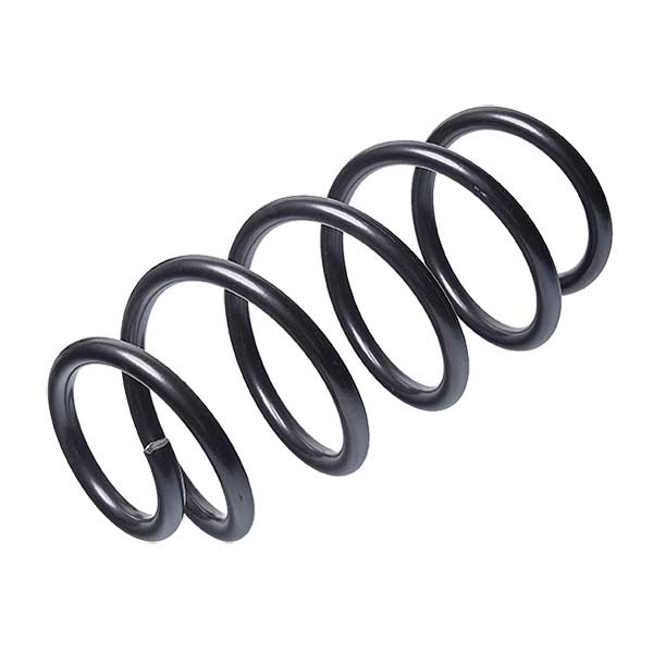 Sachs Coil Spring 627900880