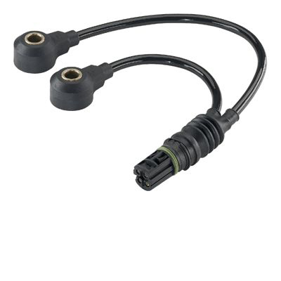 Facet Engine Sensor 419110380