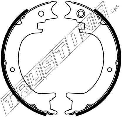 Pagid Handbrake Shoes 103800138