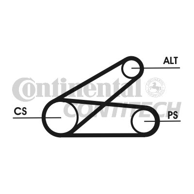 Contitech Drive Belt 202777245