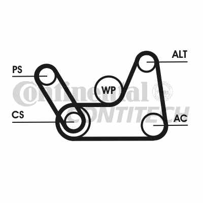 Contitech Drive Belt 202777365