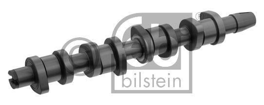 Motive Camshaft 305441021