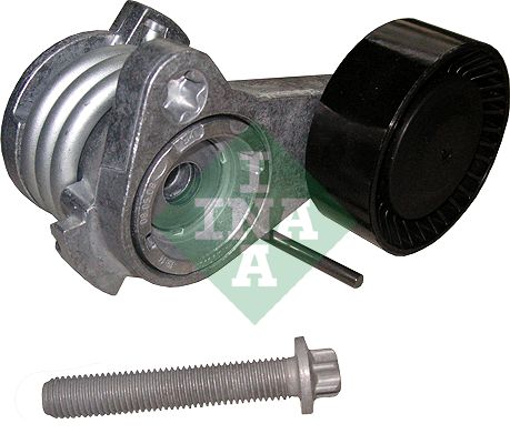 INA Belt Tensioner 326111110