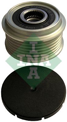 INA Alternator Pulley 425590050